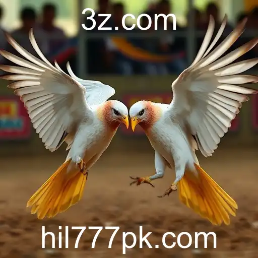 Explorando o Fascínio dos Jogos de Sabong e o Impacto do Hil777